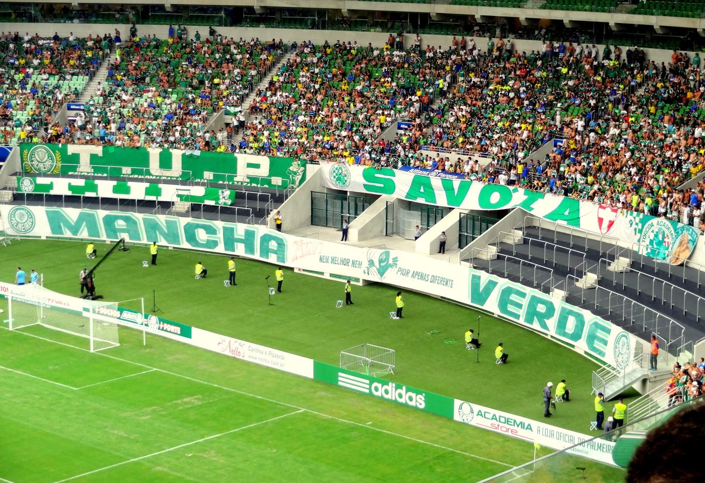 Allianz Parque, casa da Sociedade Esportiva Palmeiras